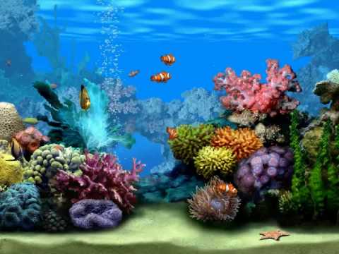 free aquarium dvd for tv download